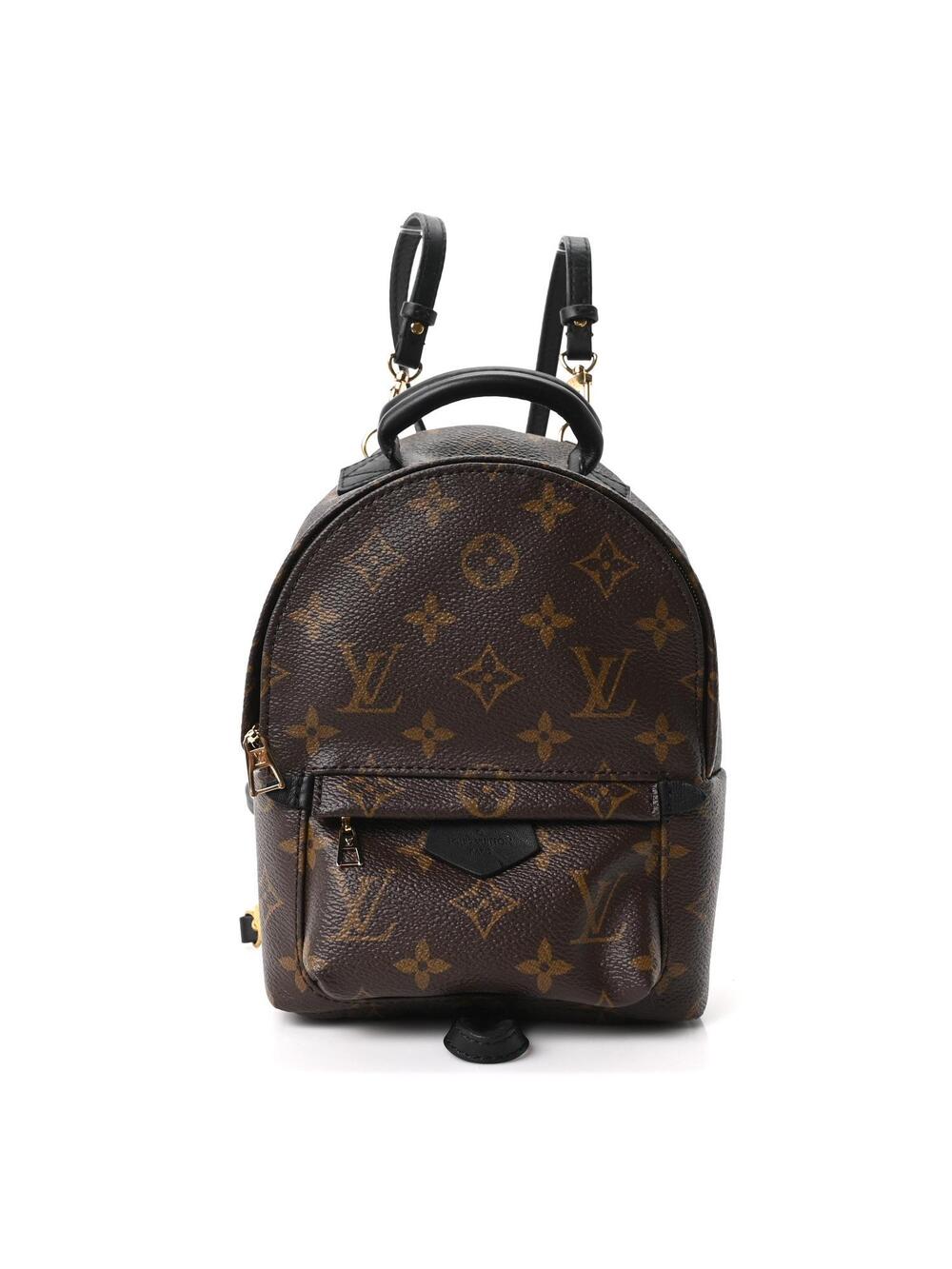 Louis Vuitton Palm Springs Backpack #352719L14B